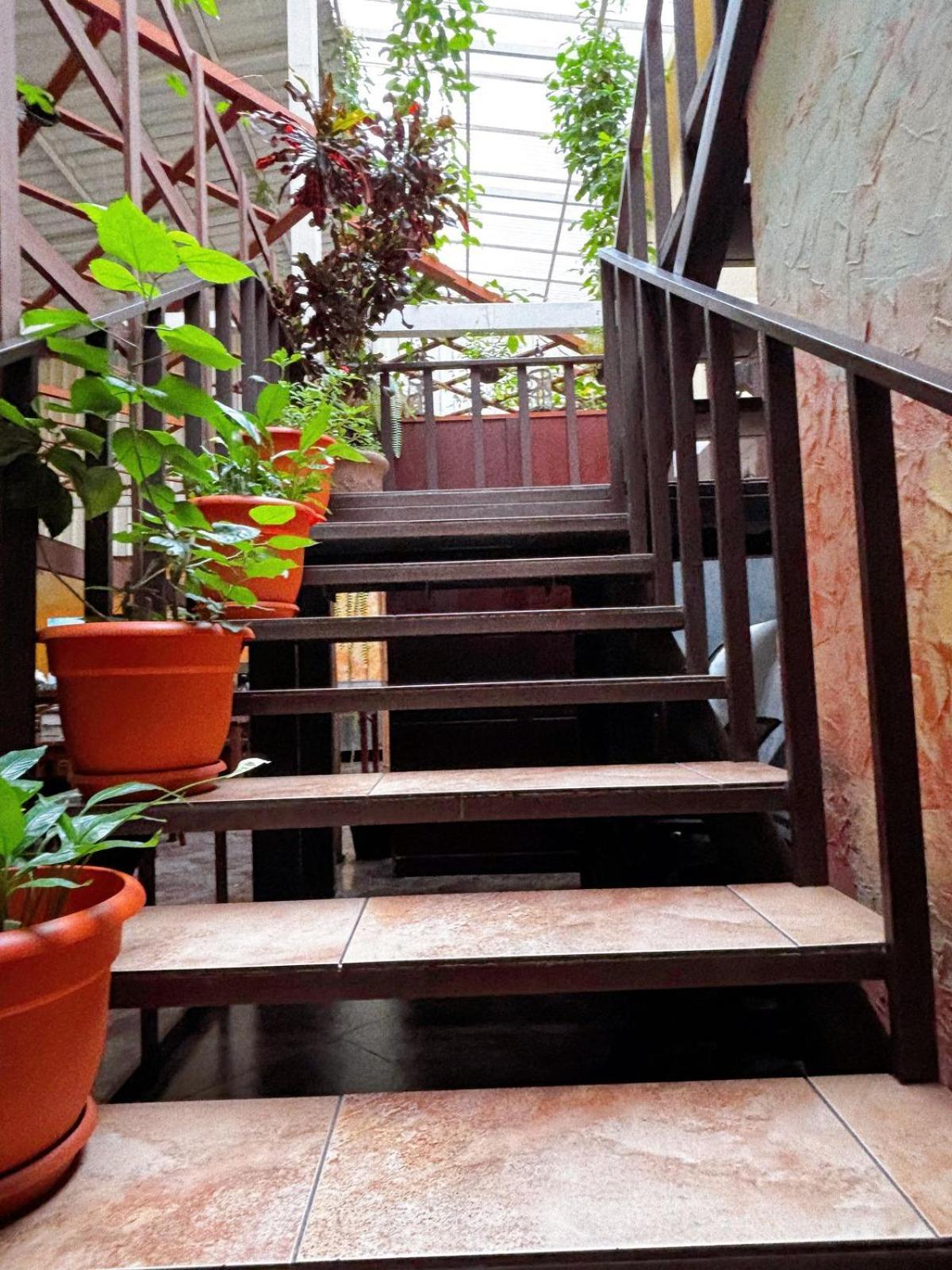 Antigua Inn Hotel Guatemala City Екстер'єр фото